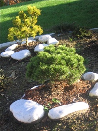 ab2bc304-Jes b 2010 012.JPG